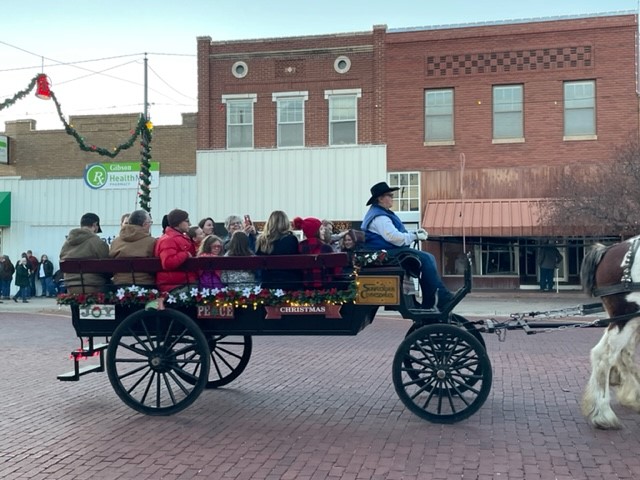 Carriage rides 2